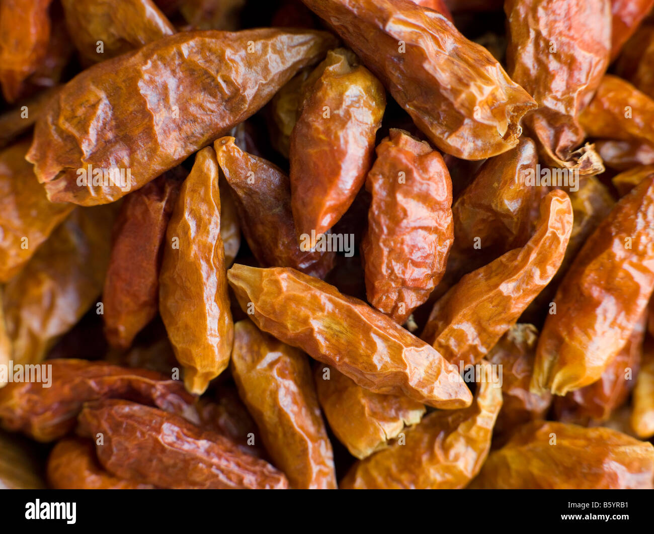 Dried Birds Eye Chilies Stock Photo