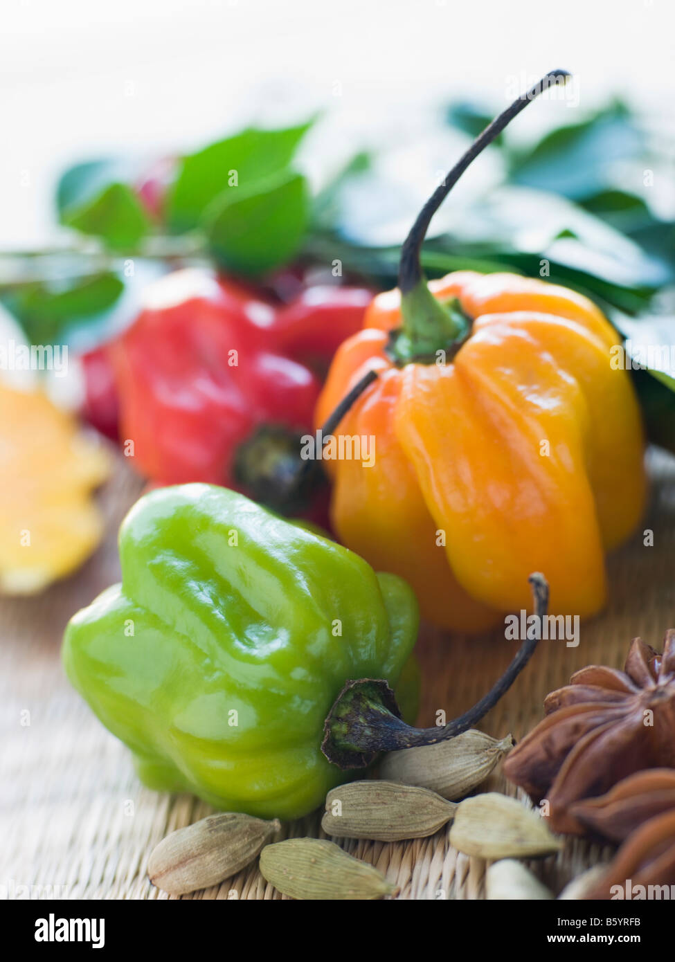 Selection of Asian Spices Stock Photo