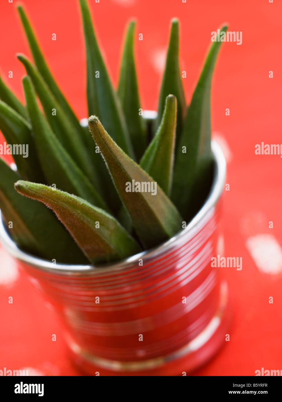 Pot filled with Okra Stock Photo