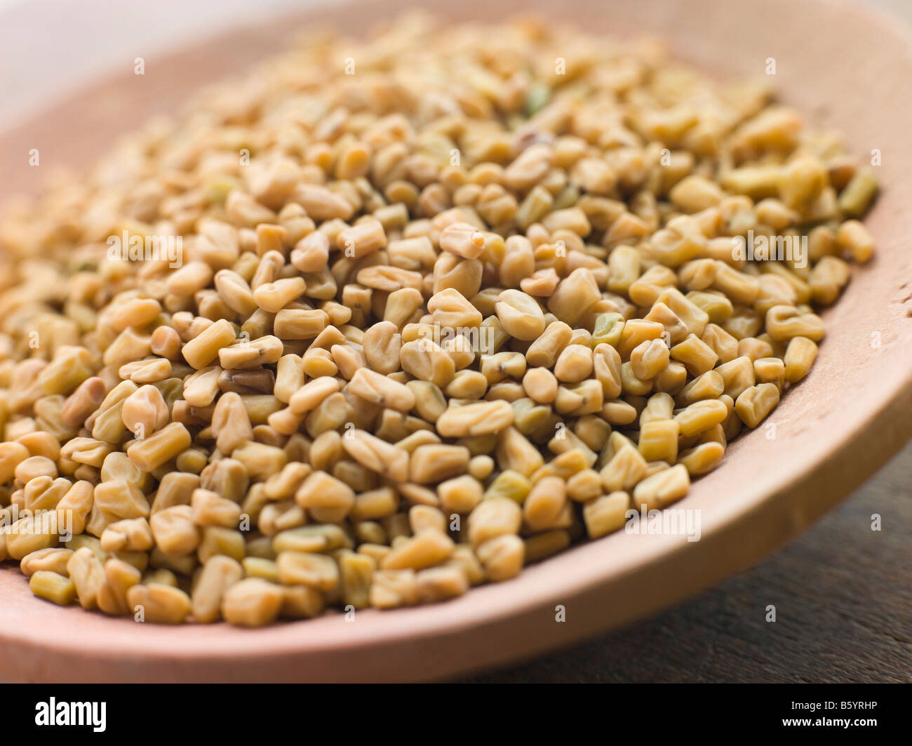 Dish of Fenugreek Seeds Stock Photo Alamy