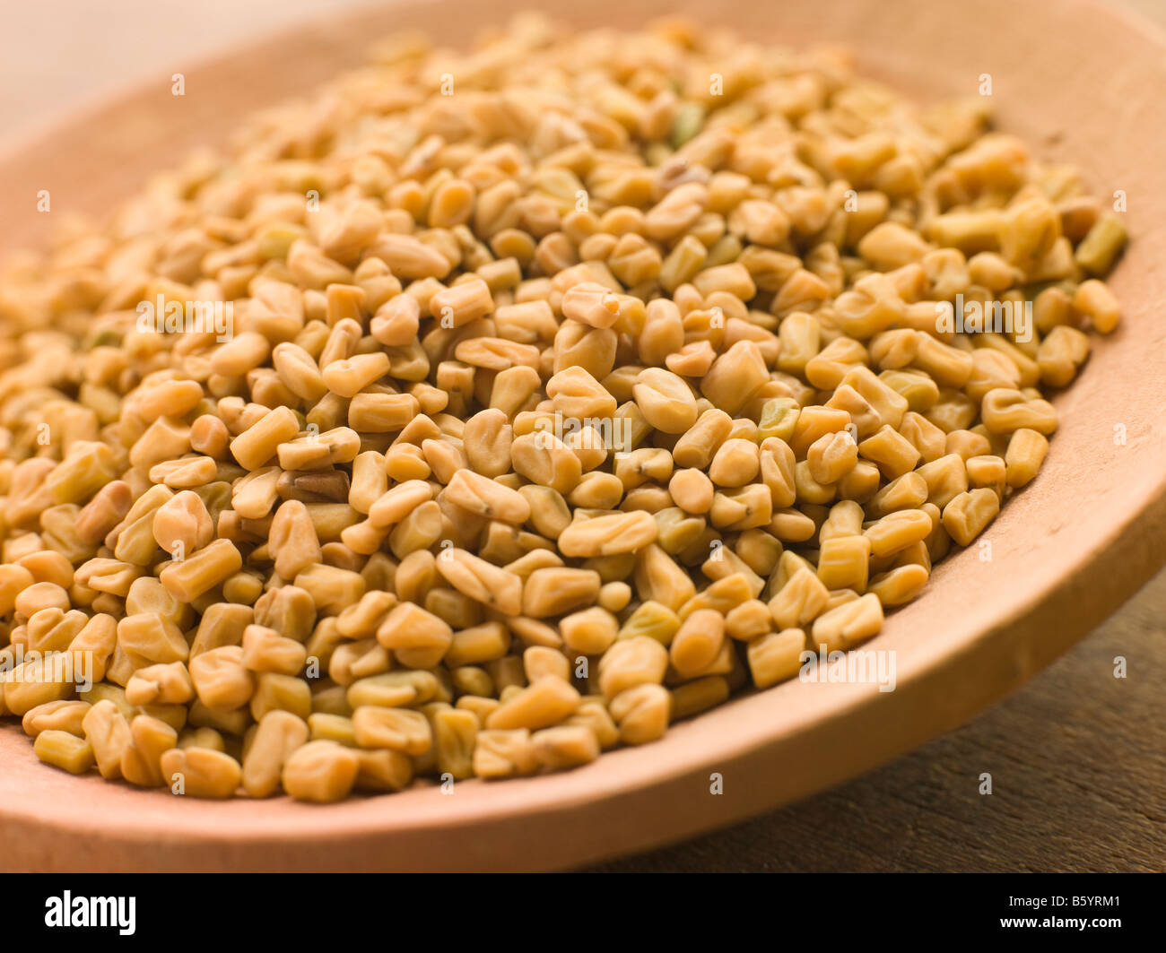 Dish of Whole Fenugreek Stock Photo