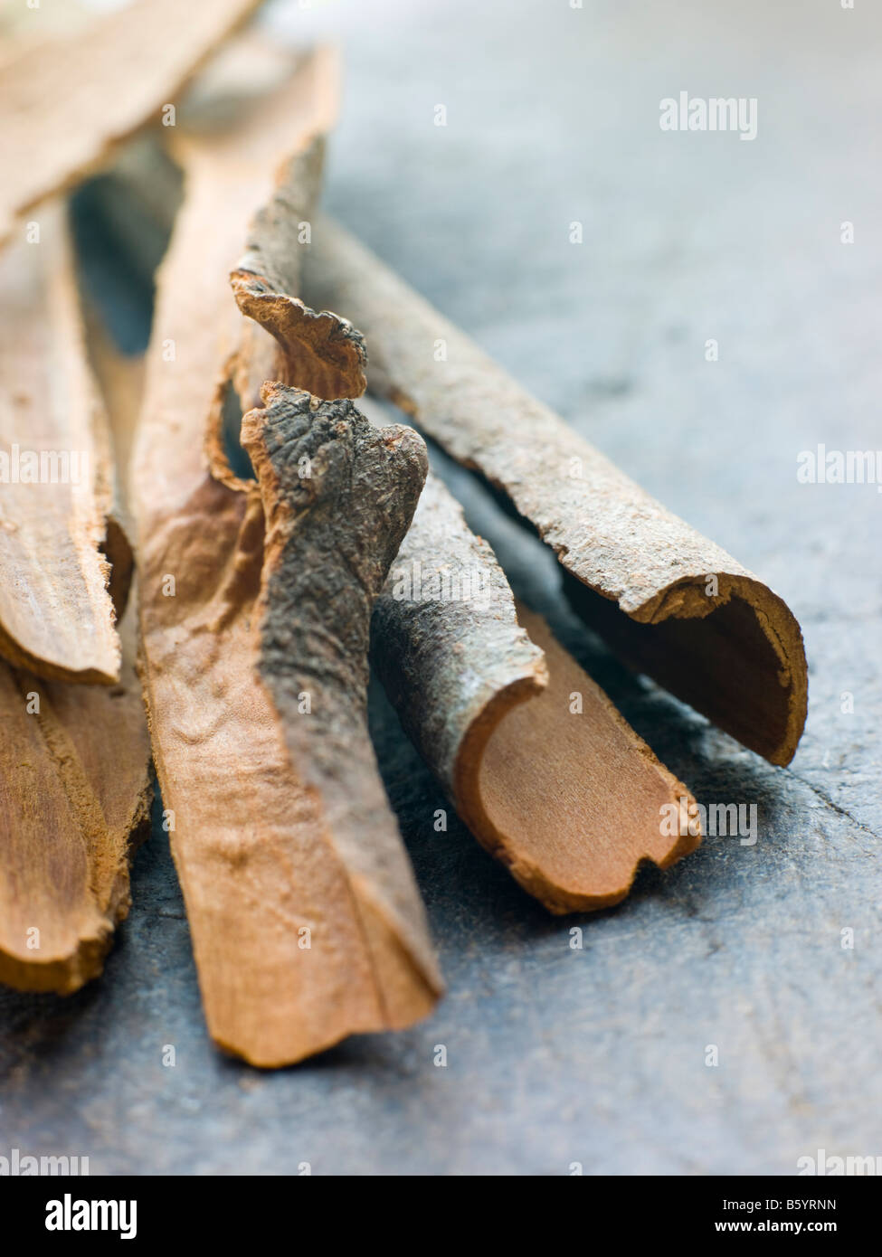 Cinnamon Bark Stock Photo