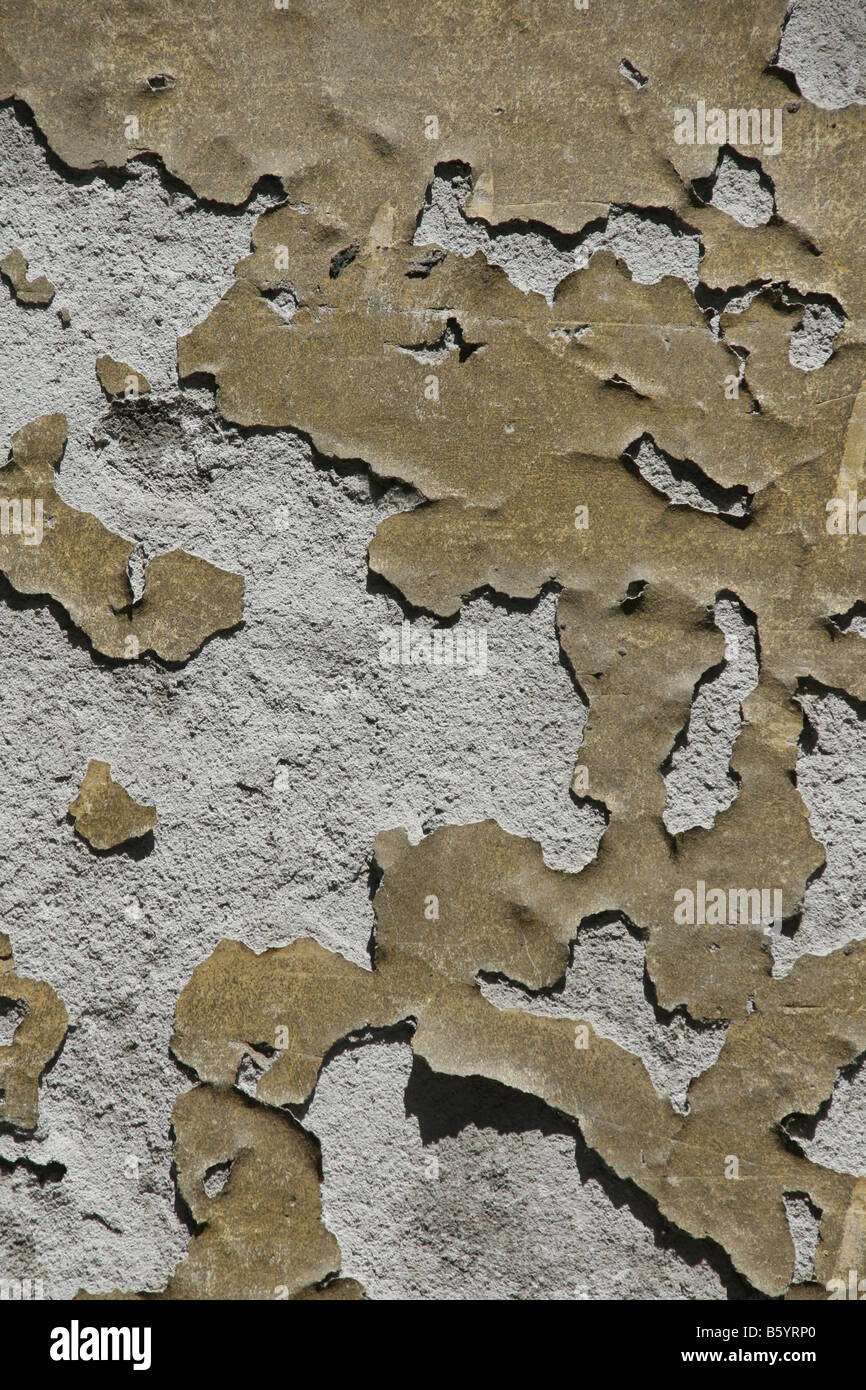 Define Flake flaking paint on old wall surface Stock Photo - Alamy