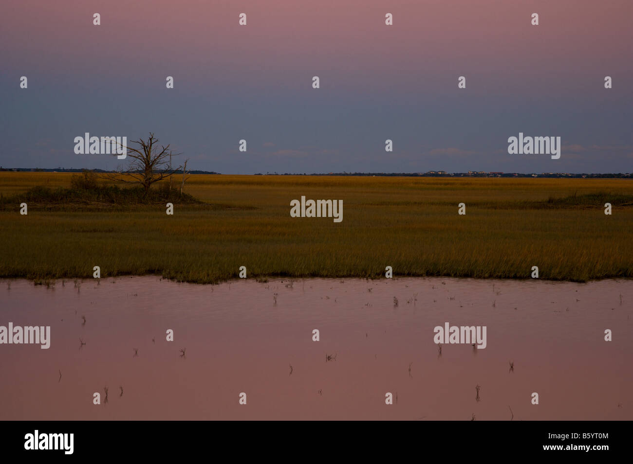 Saltwater marsh along the coast of South Carolina near Charleston Stock Photo