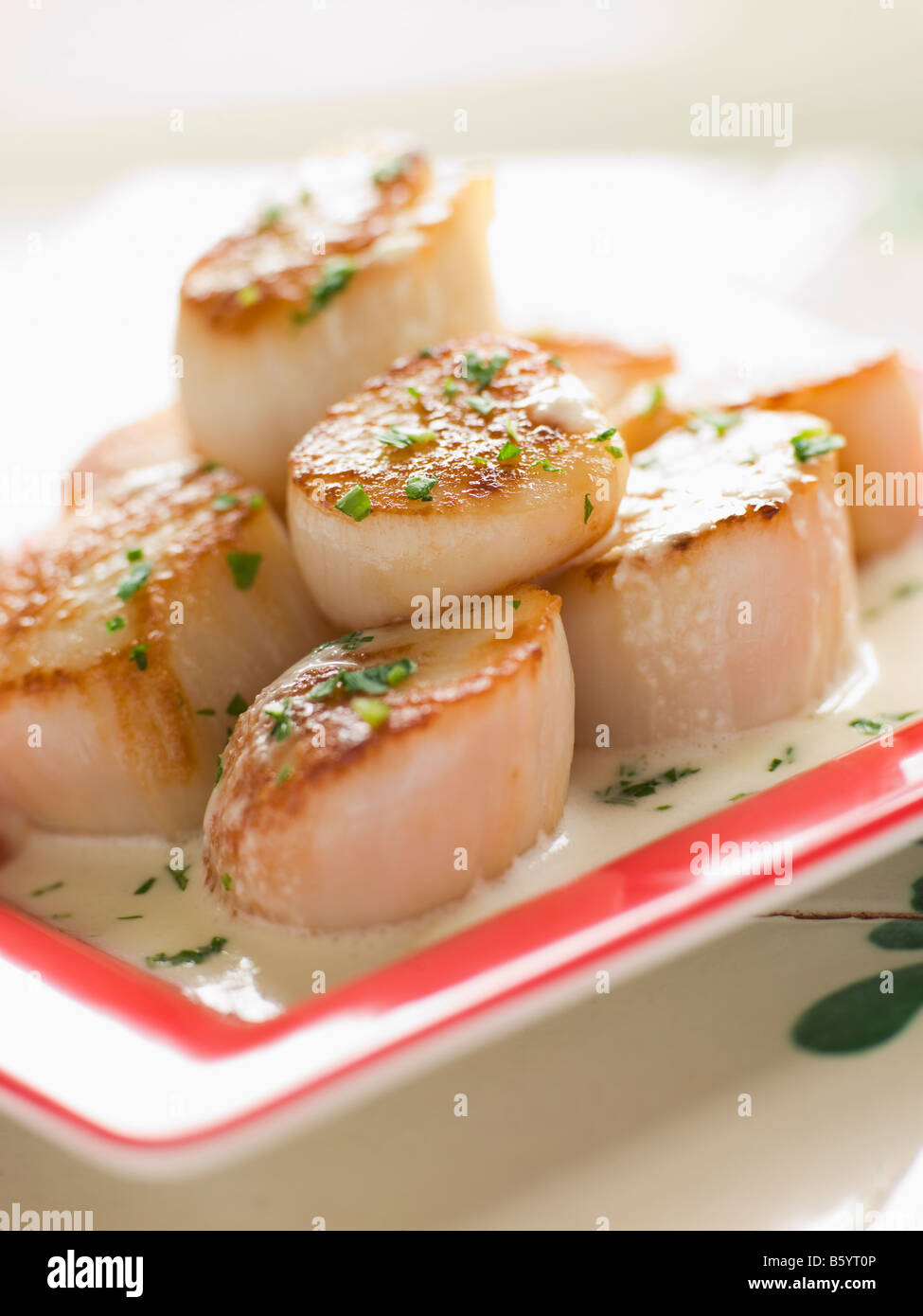 Seared Scallops with Cava Cream and Herb Sauce Stock Photo Alamy