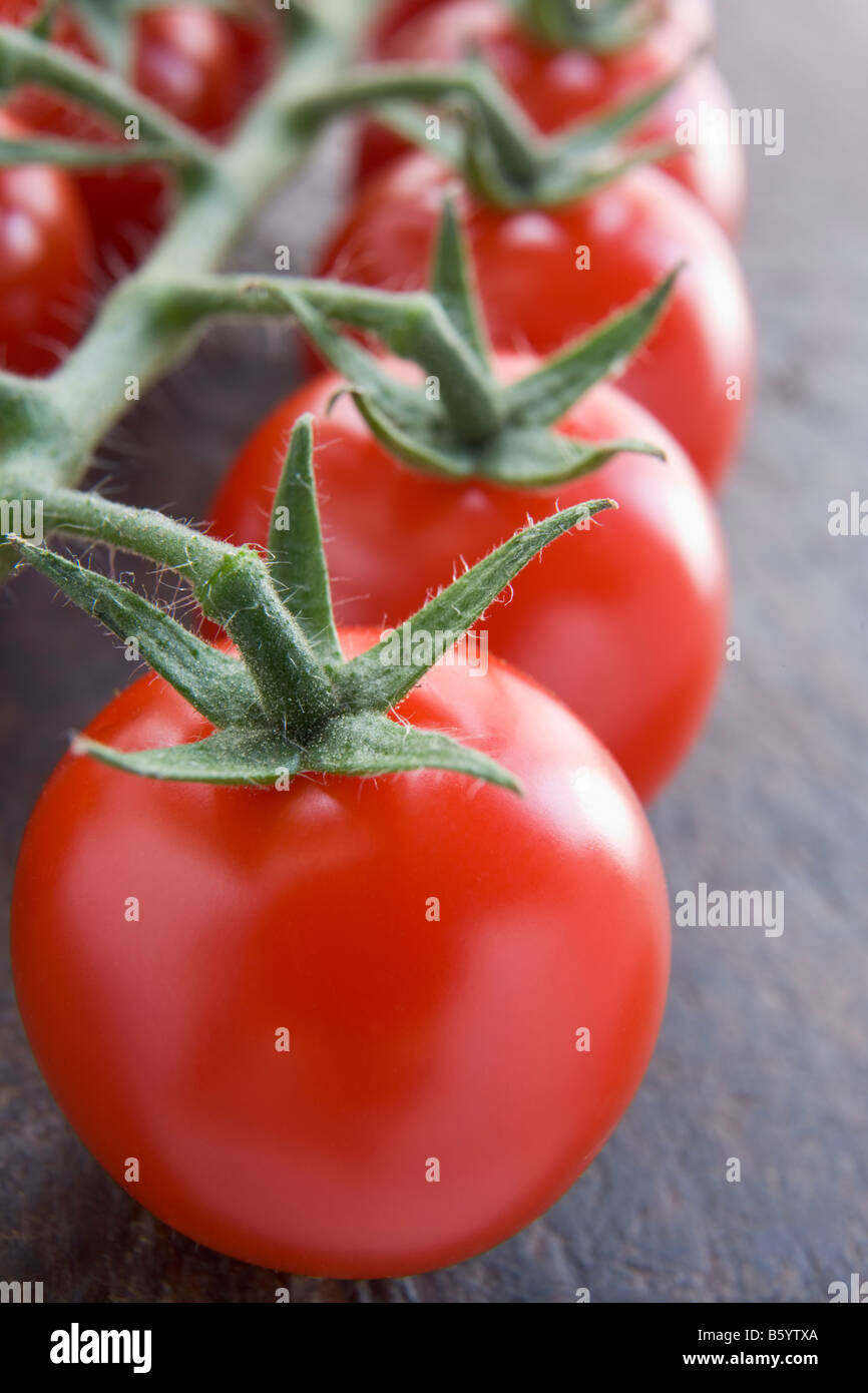 Vine Tomatoes Stock Photo Alamy