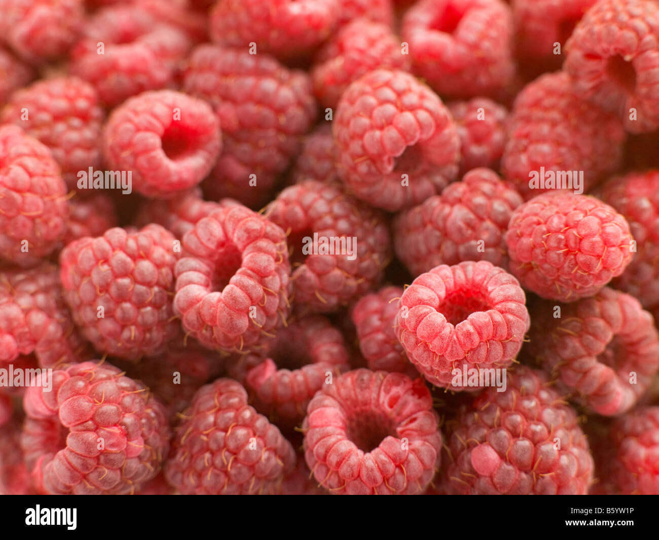Always Fresh Raspberries Fresh summer fruit berry hi-res stock photography and images - Alamy