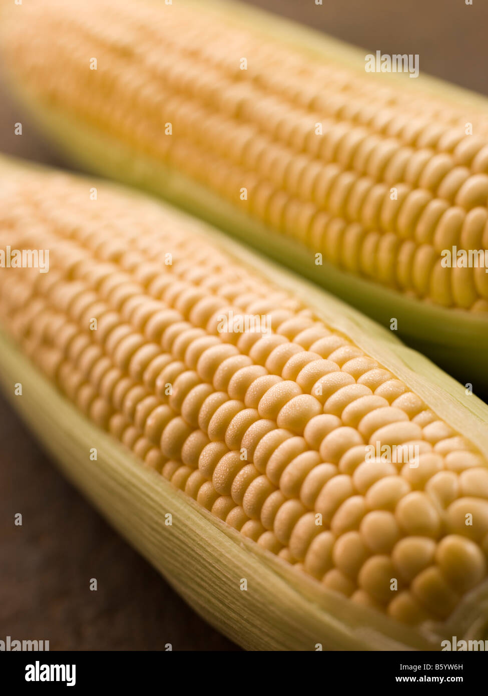 Cobs Of Corn Stock Photo