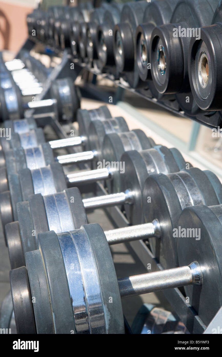 Row Of Dumbbells At Gym Stock Photo