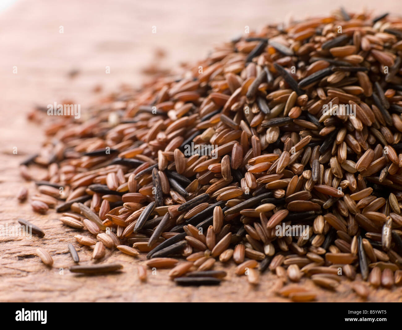 Red Camargue And Wild Rice Stock Photo
