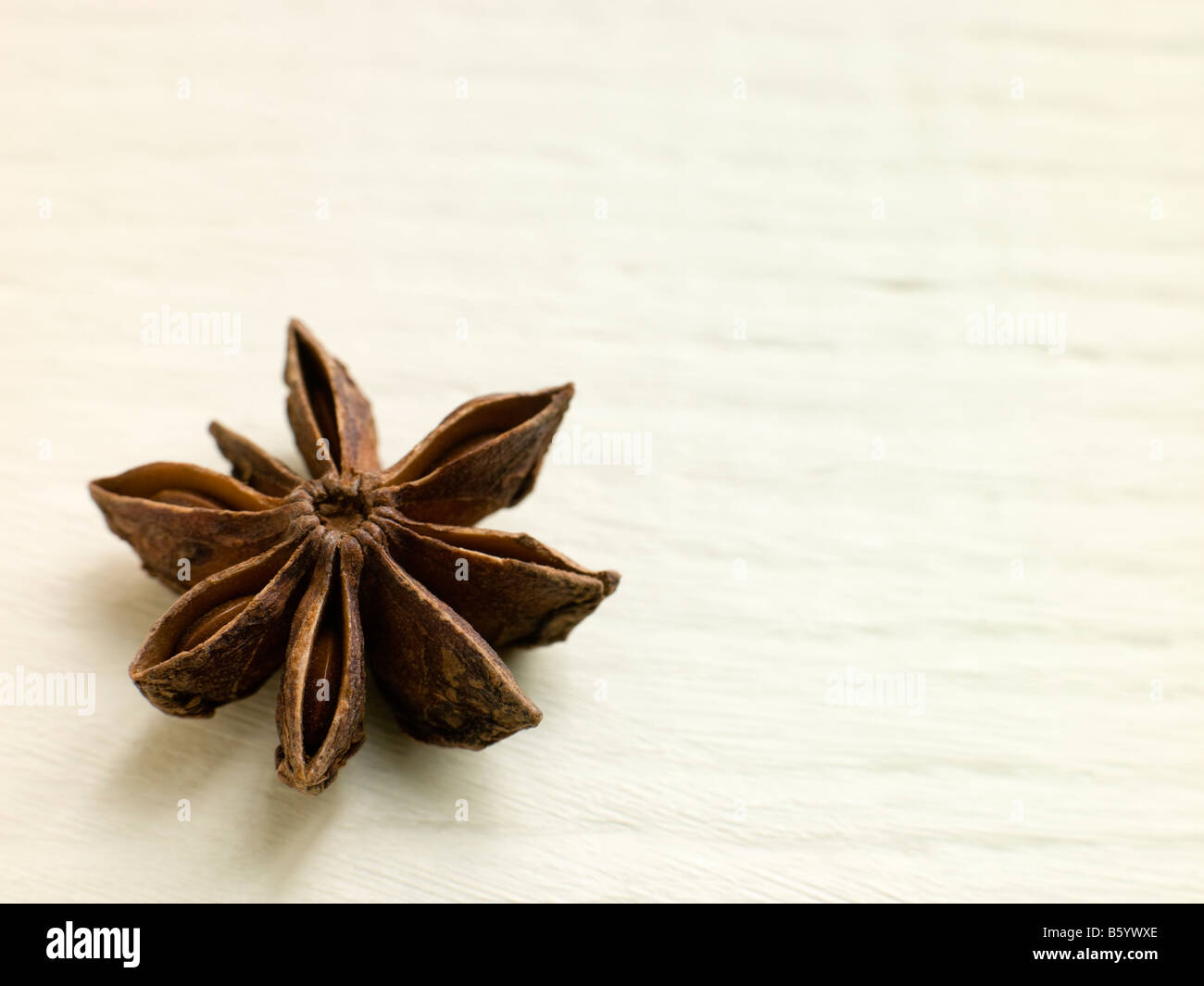 Star Anise Stock Photo