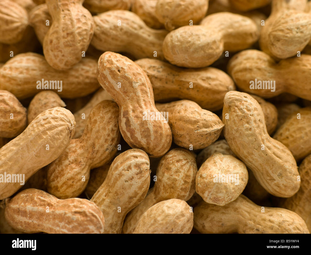 Peanuts In Shells Stock Photo Alamy