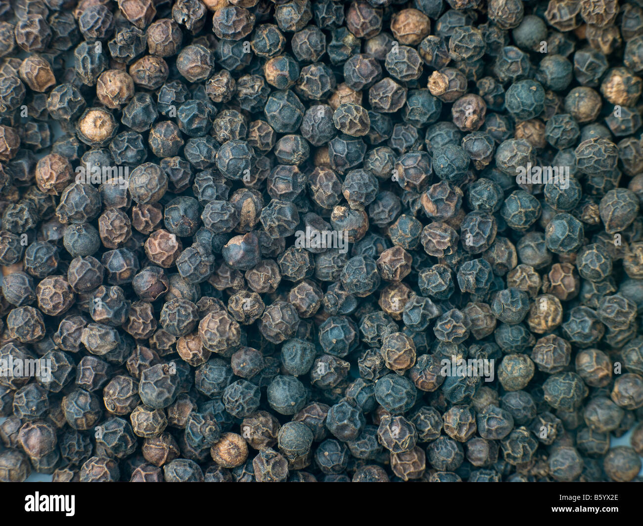 Jar Of Capers Stock Photo Alamy