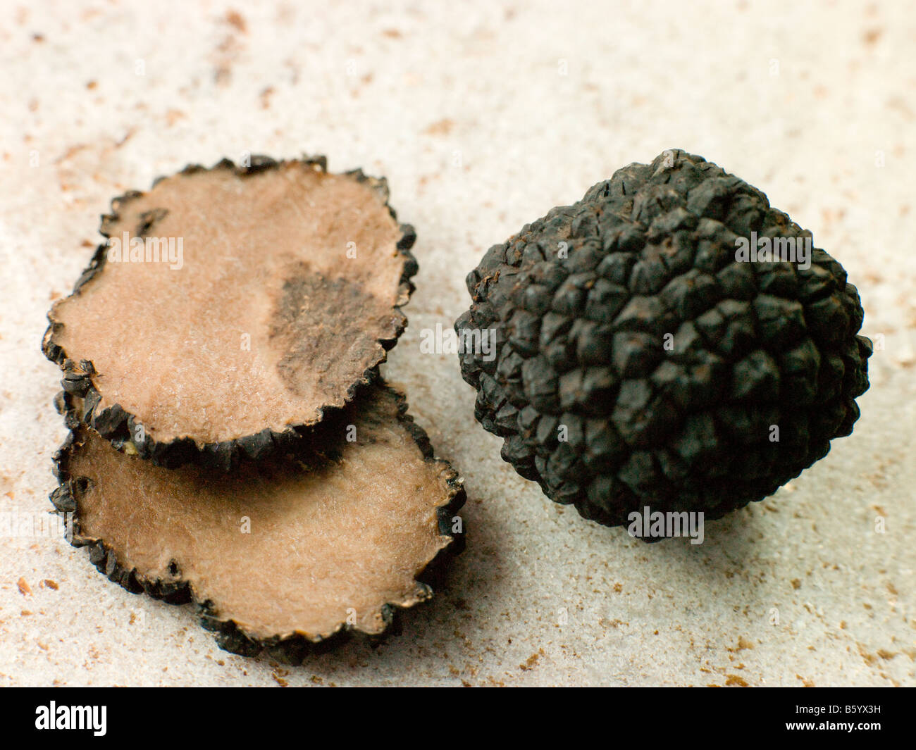 Truffle Stock Photo