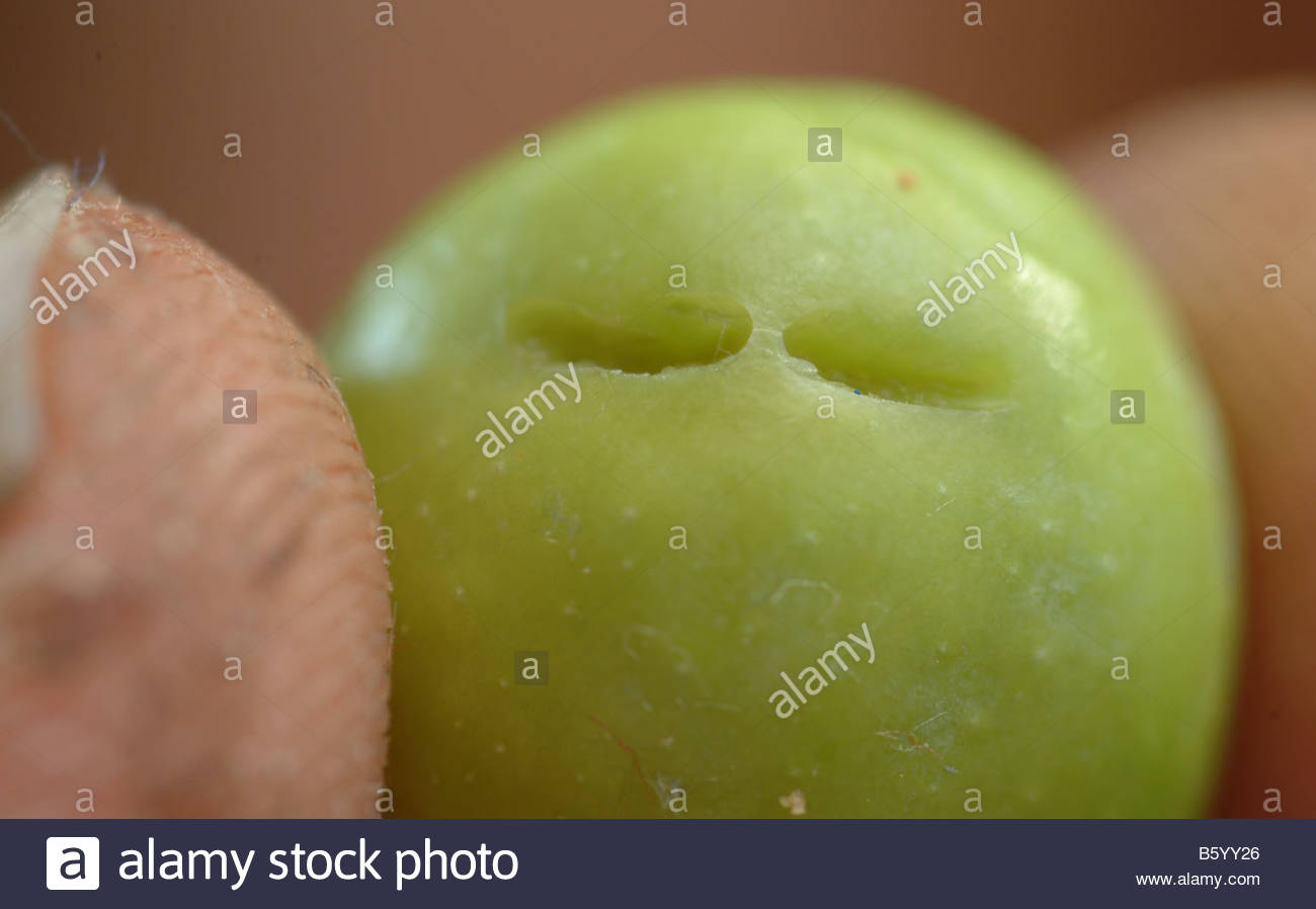 Baby Alive High Resolution Stock Photography and Images Alamy