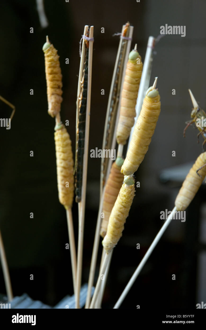 Edible caterpillars for sale at a street market in Wangfujing area Beijing China Stock Photo Alamy