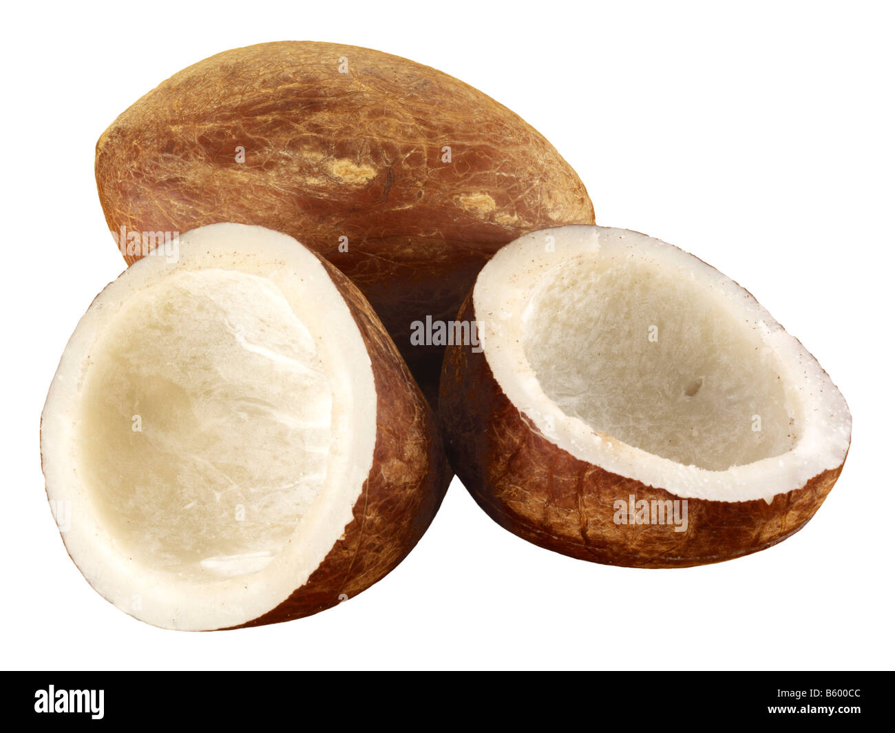 DRIED COPRA Stock Photo