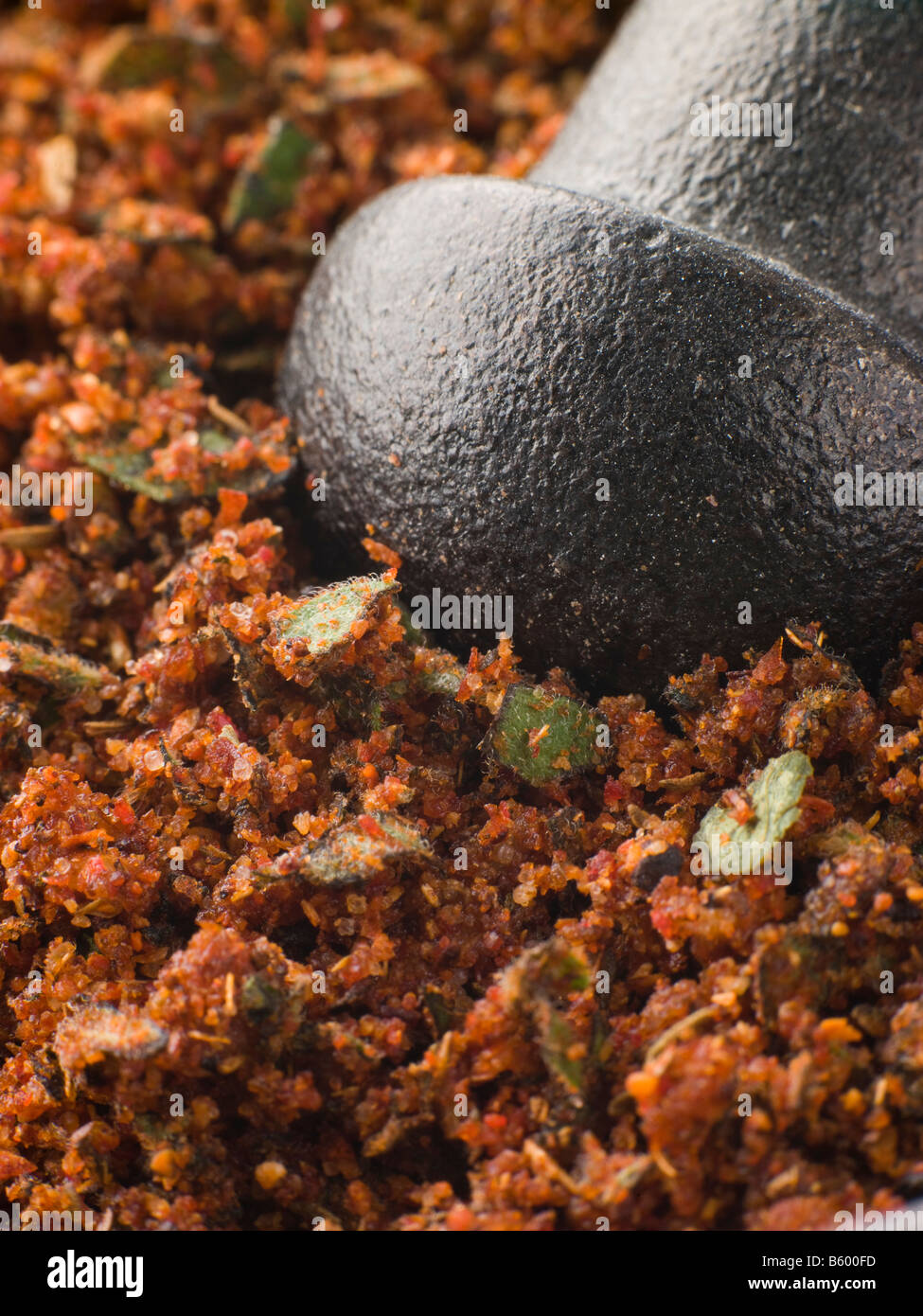 Cajun Spice Rub in a Pestle and Mortar Stock Photo