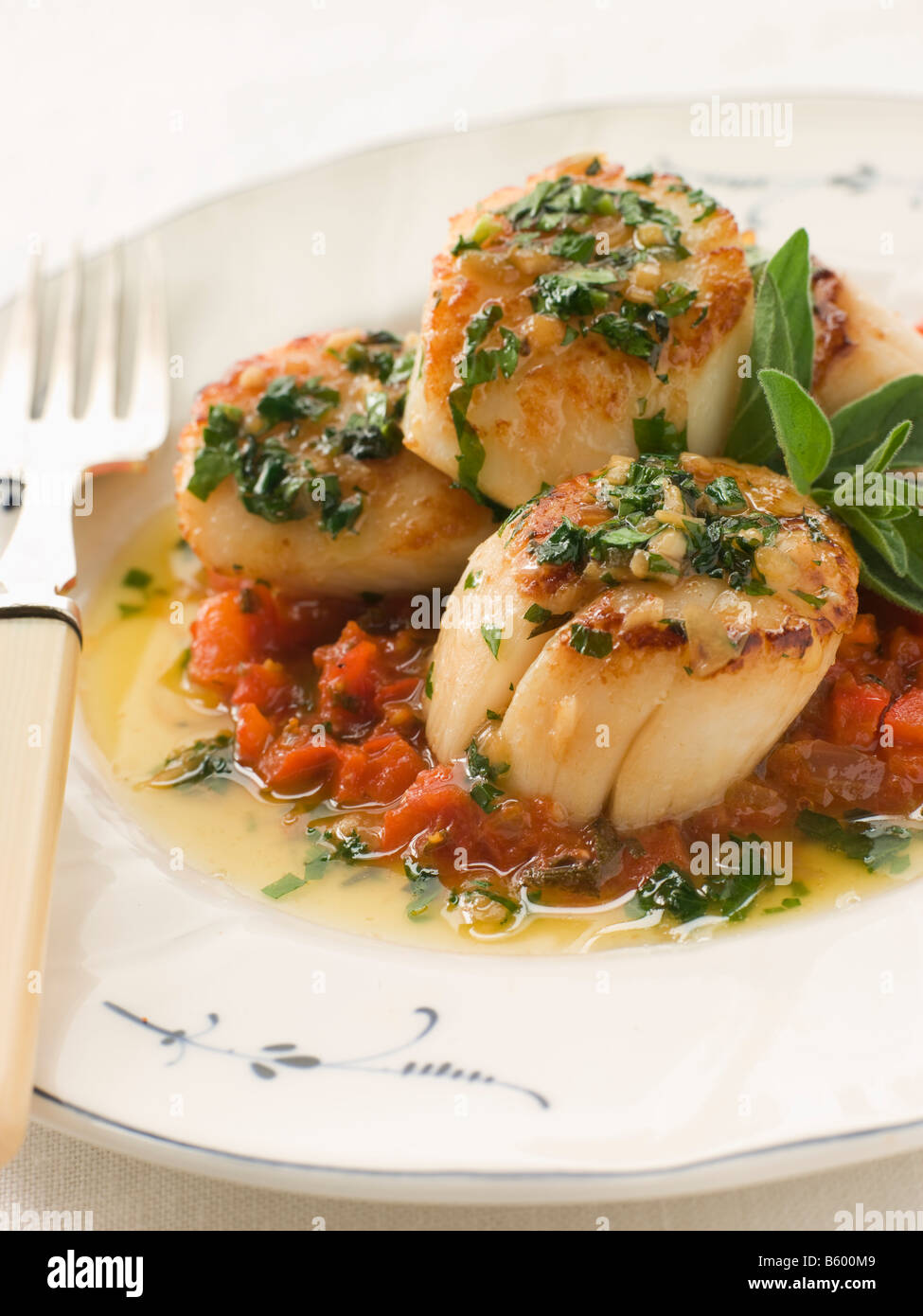 Pan Fried Scallops Piperade and Garlic Butter Stock Photo Alamy