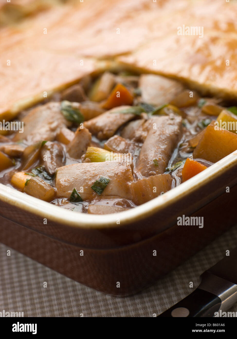Chicken Vegetable and Gravy Pie Stock Photo Alamy