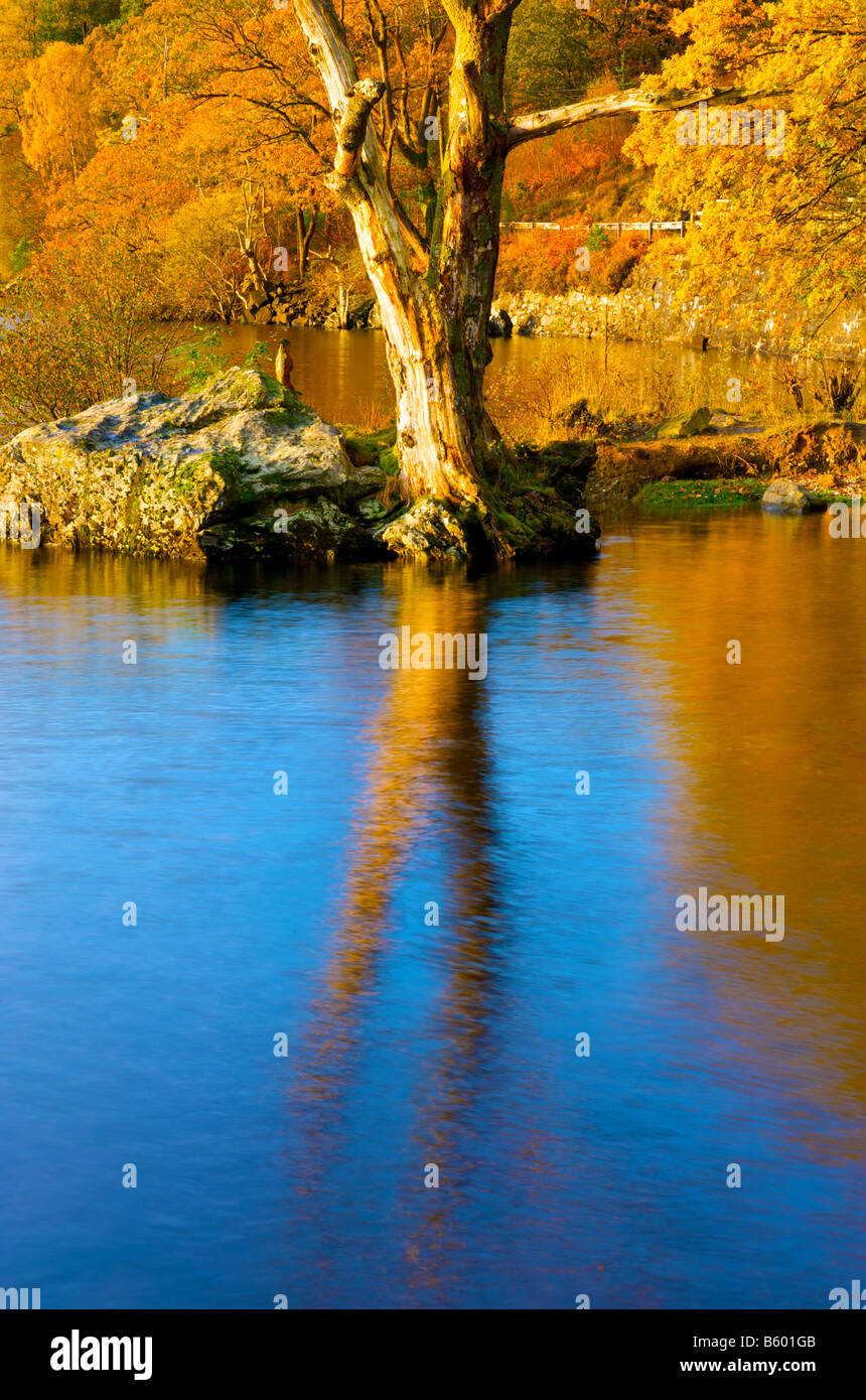 Autumnal view on Loch Lomond with dead tree in the water Stock Photo