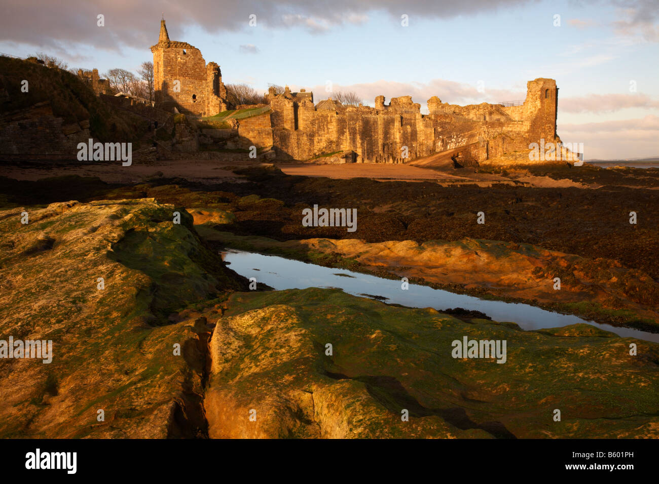 St Andrews Castle, St Andrews, Fife, Scotland Stock Photo