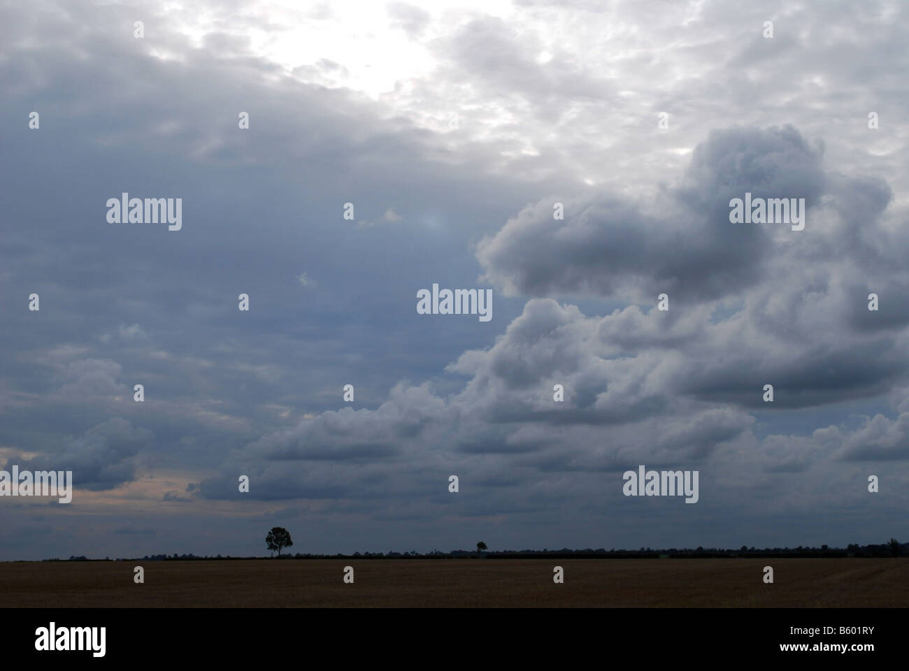 Tree above the horizon hi-res stock photography and images - Alamy