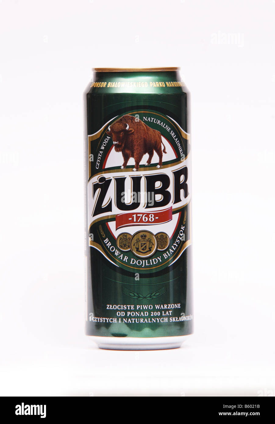 Can of Zubr Polish Lager Beer Stock Photo