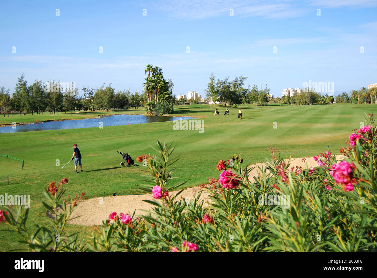 Playa de las americas golf hi-res stock photography and images - Alamy