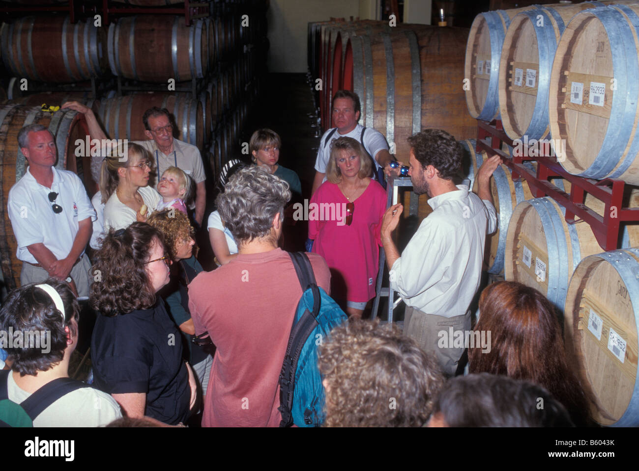Visitation of the Wine Cellar, Mondavi Vineyard, Napa Valley, California, America, USA Stock Photo