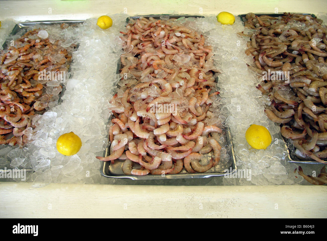 Shrimp sale near me