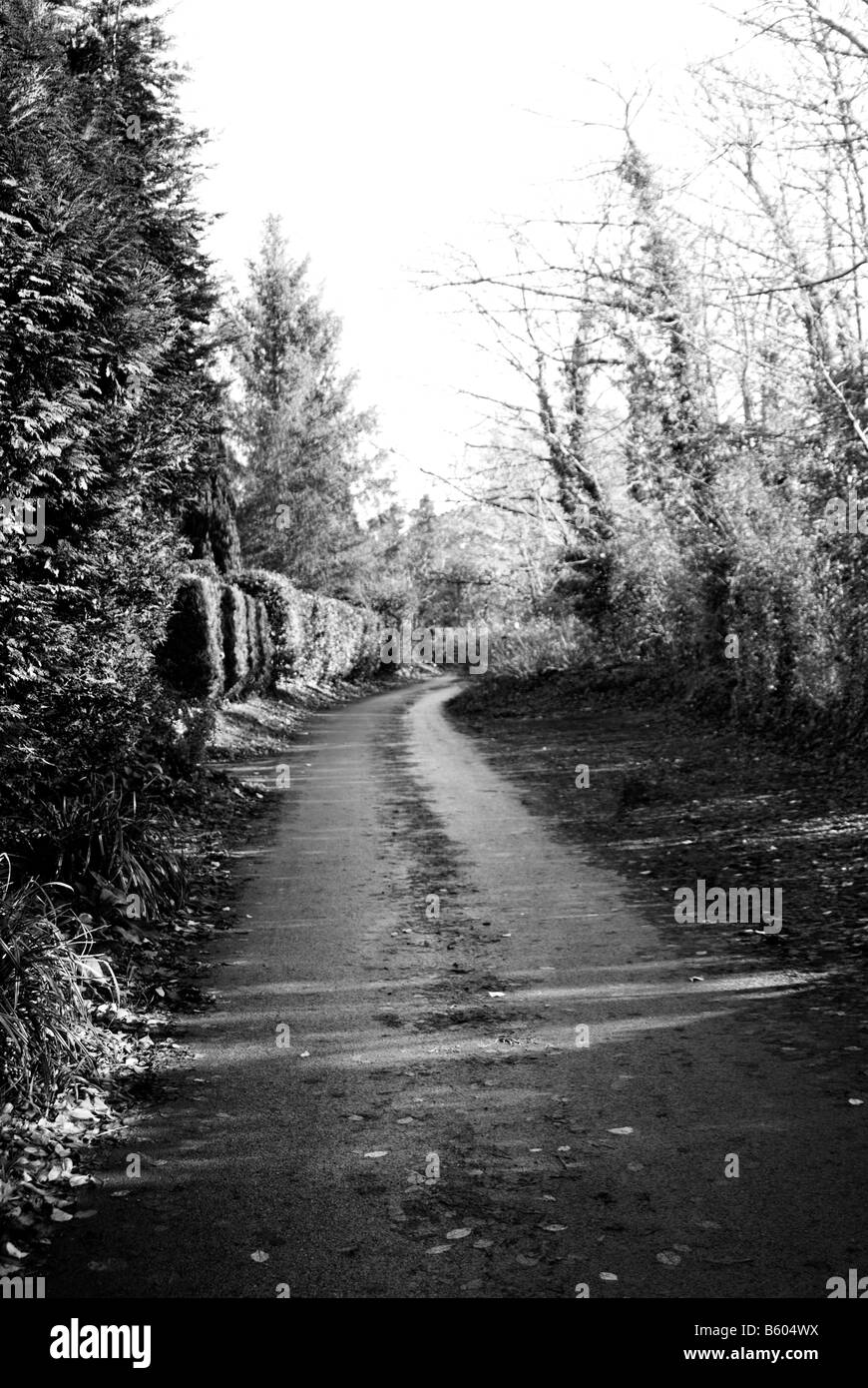Track in grass Black and White Stock Photos & Images - Alamy