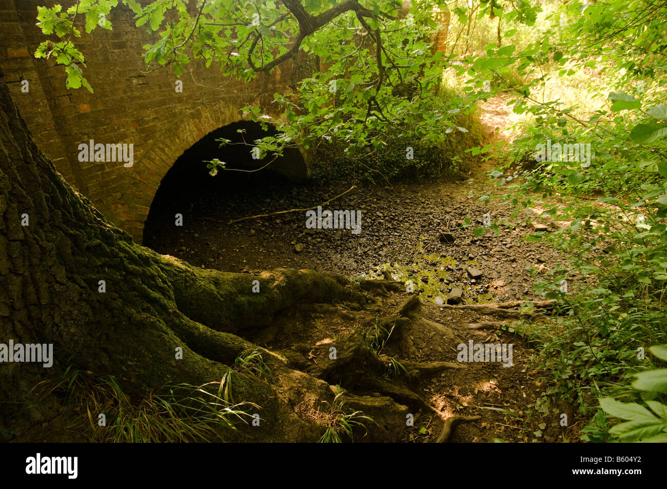 The One Hundred Pound Bridge on Bookham Common, Surrey, England Stock