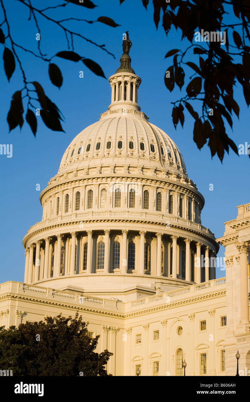 US Capitol Building dome Washington D.C Stock Photo - Alamy
