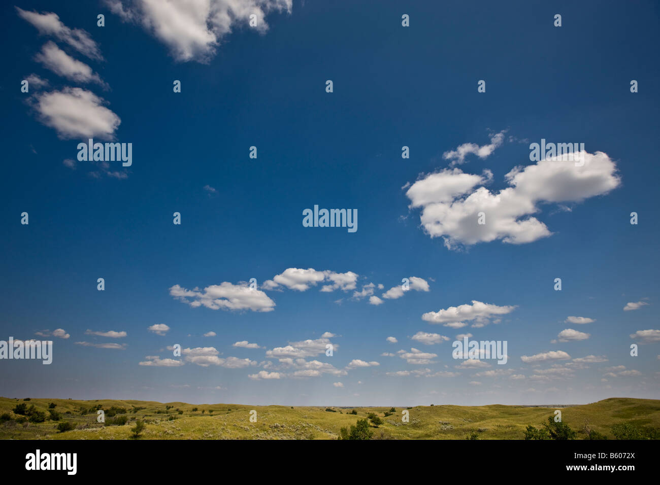 Blue sky and puffy clouds above the landscape near the Great Sand Hills, Sceptre, Saskatchewan, Canada. Stock Photo