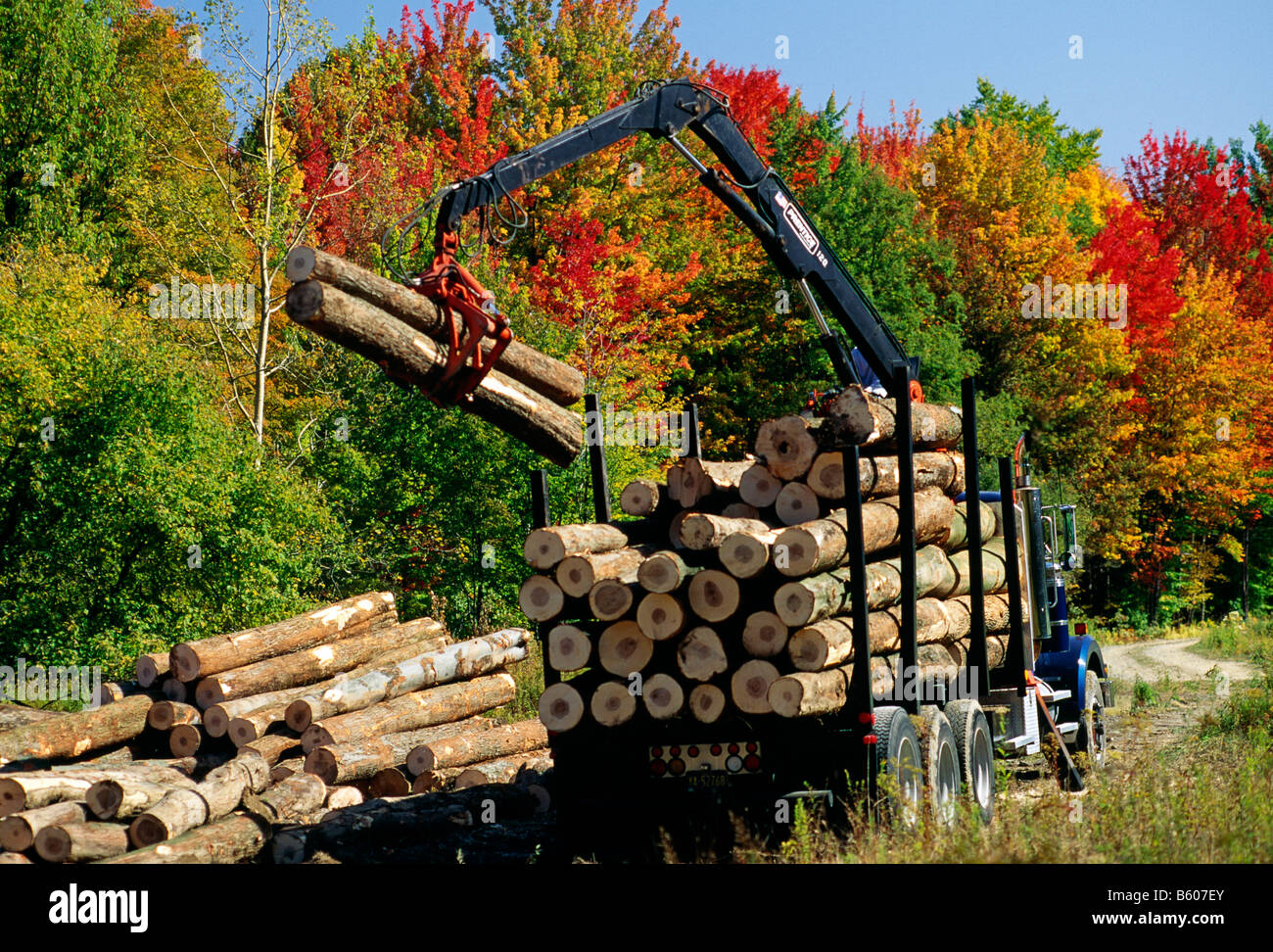 Loading logs onto a truck. Selective logging of top grade hard woods near Dubois, Jefferson