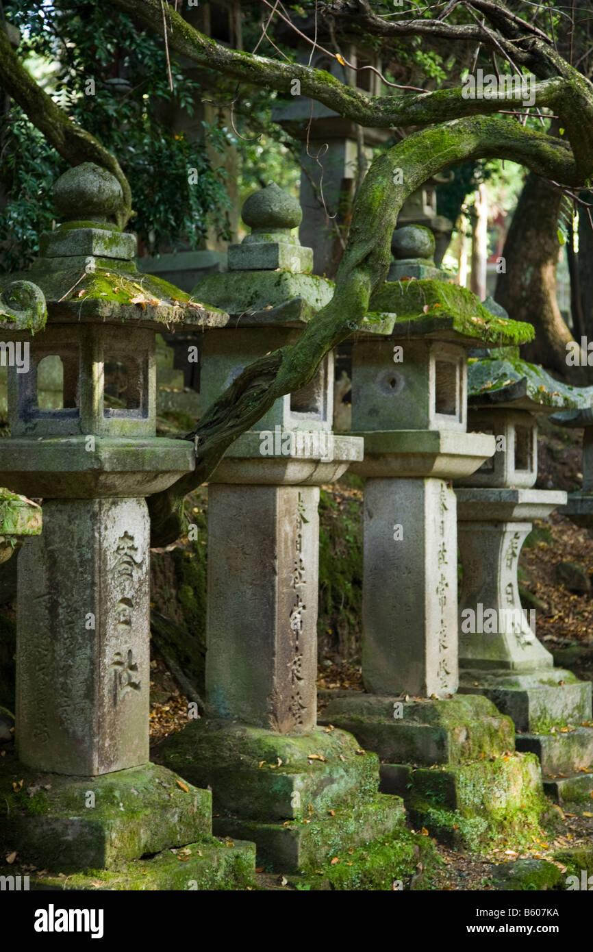 Kasuga Shrine Lanterns Stock Photo