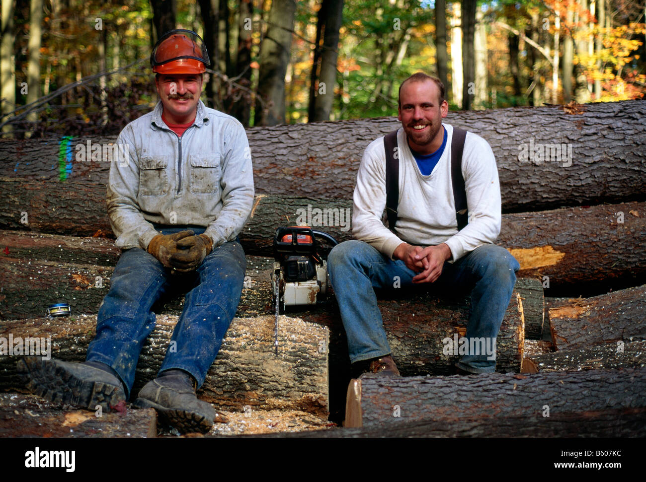 Loggers america hires stock photography and images Alamy