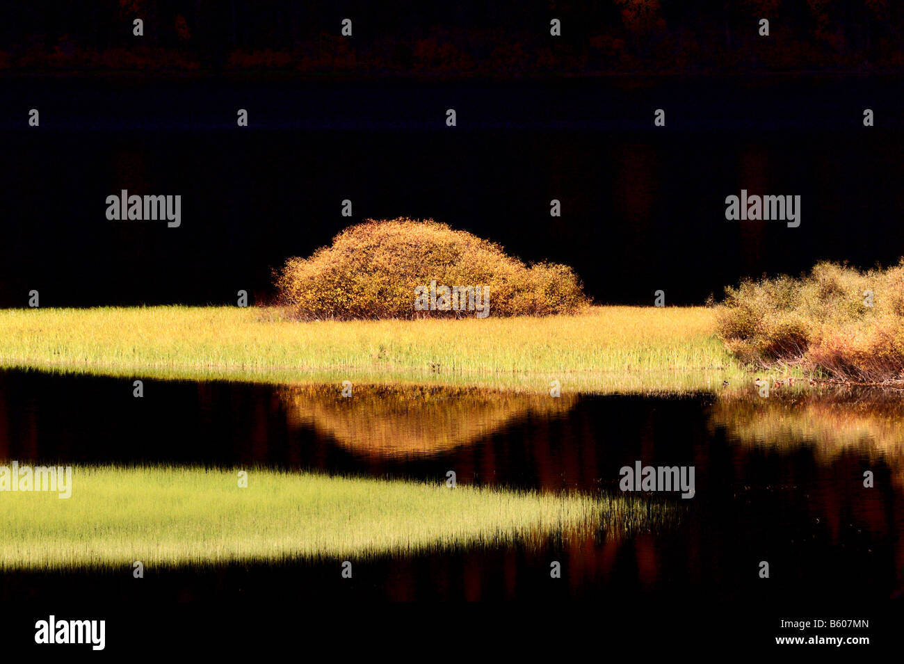 Water reflections in autumn Stock Photo - Alamy