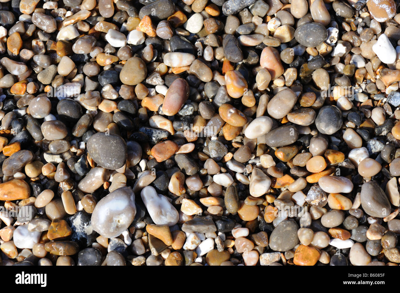 Pebbles mainly of flint on the beach at Branscombe East Devon Stock Photo