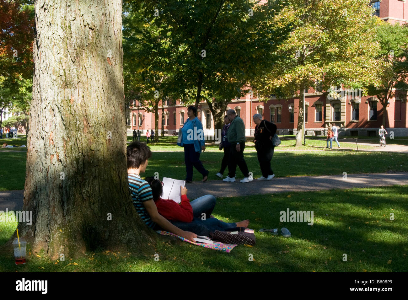 Two students studying on the lawn in the Harvard University yard Stock Photo