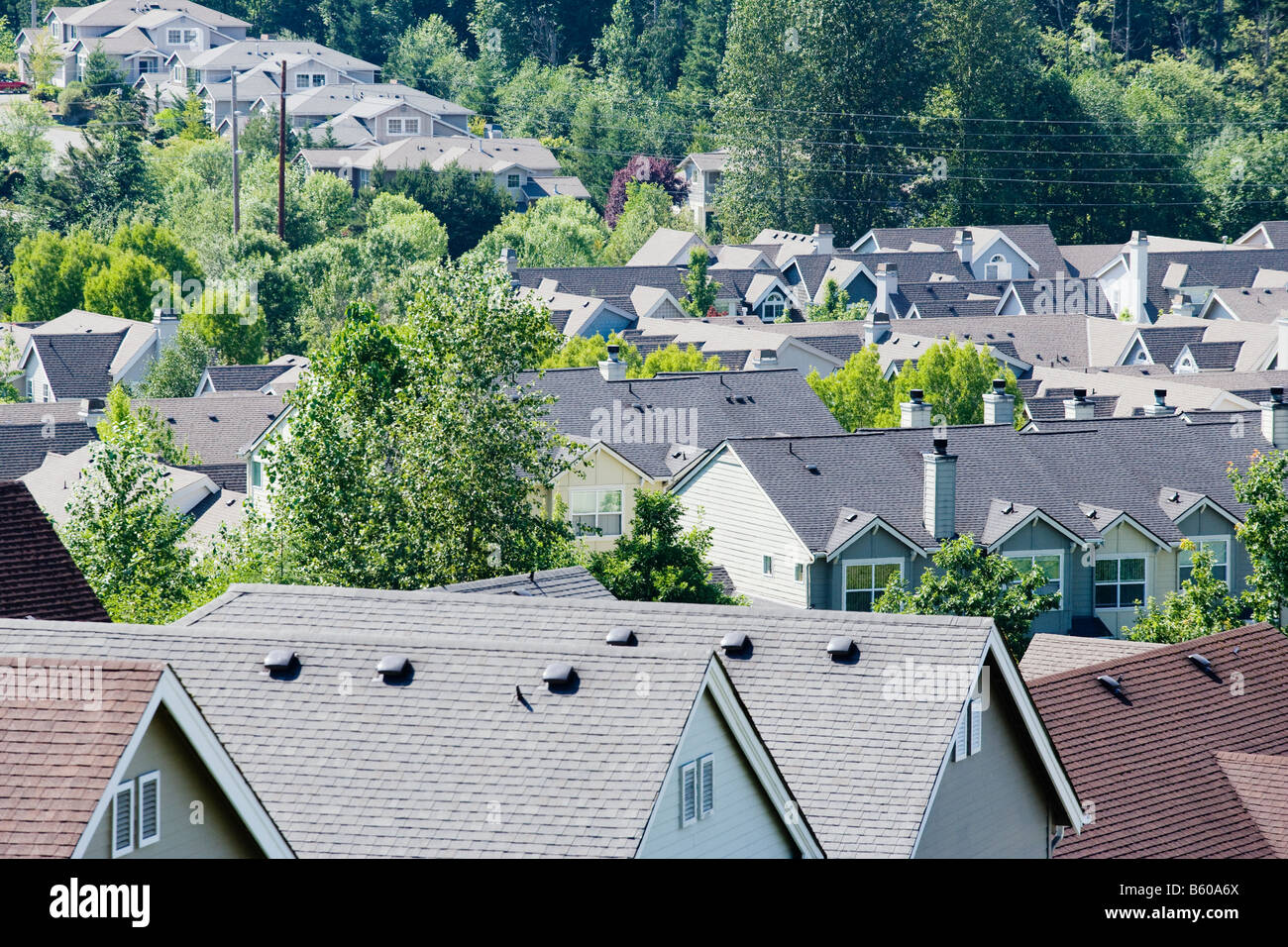 Rooftops of a housing development in the Issaquah Highlands WA Stock Photo