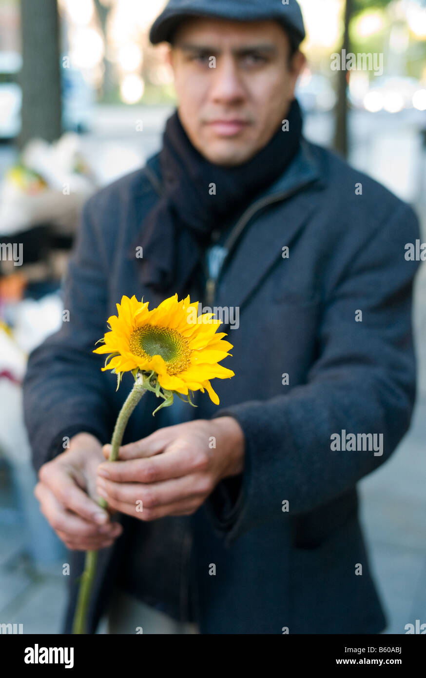 A street flower vendor holds a sunflower at his stand along Chapel