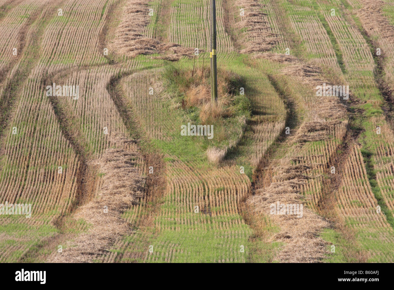 Patterns in a field of cereal stubble Stock Photo - Alamy