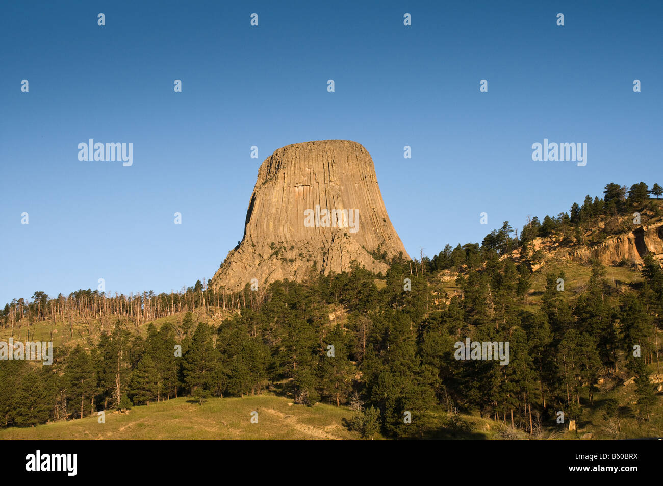 Devil Tower in the Black Hills Stock Photo