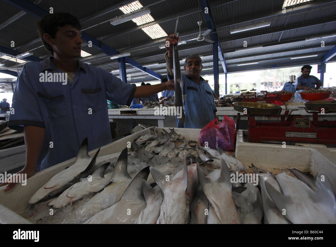 FISH MARKET IN DEIRA, DUBAI Stock Photo Alamy