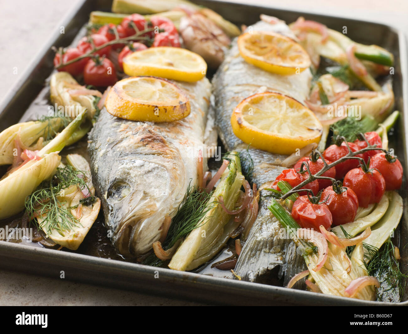 Whole Sea Bass Roasted with Fennel Lemon Garlic and Cherry Tomatoes on the Vine Stock Photo