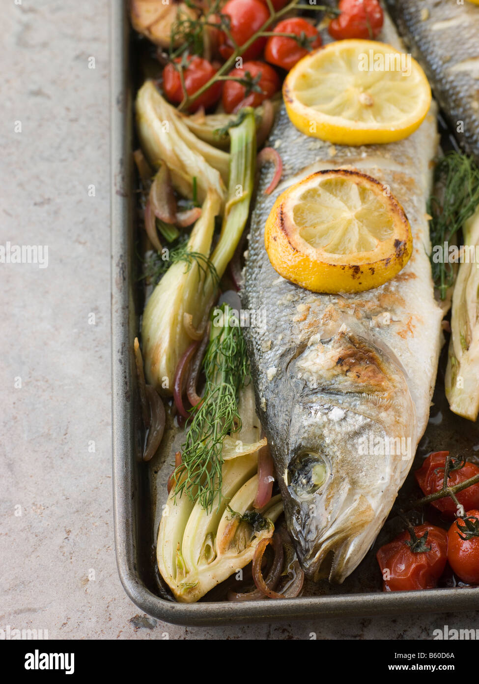 Whole Sea Bass Roasted with Fennel Lemon Garlic and Cherry Tomatoes on the Vine Stock Photo