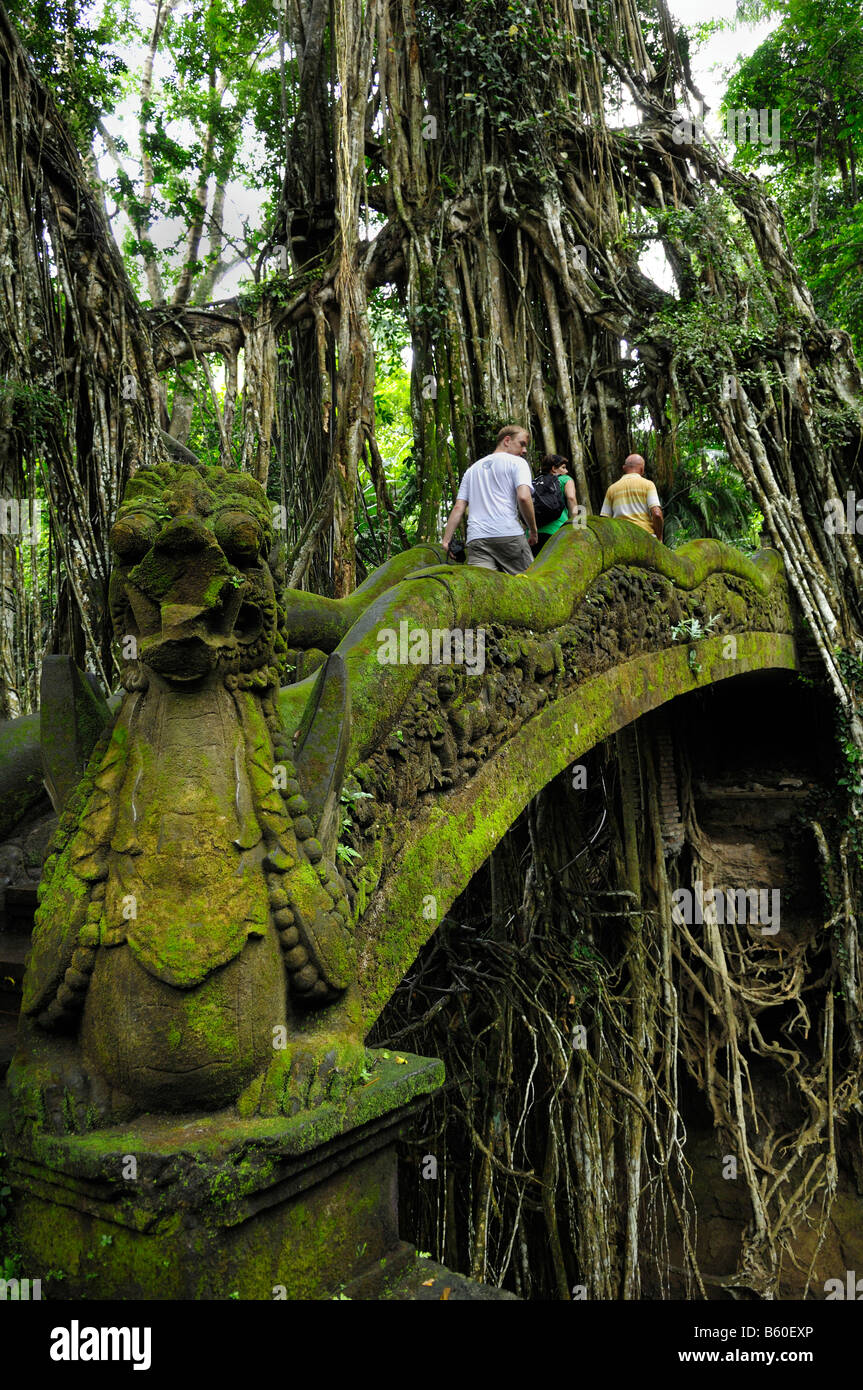 Stone bridge in the jungle in the Ubud Monkey Forest, Bali, Indonesia, Southeast Asia Stock Photo