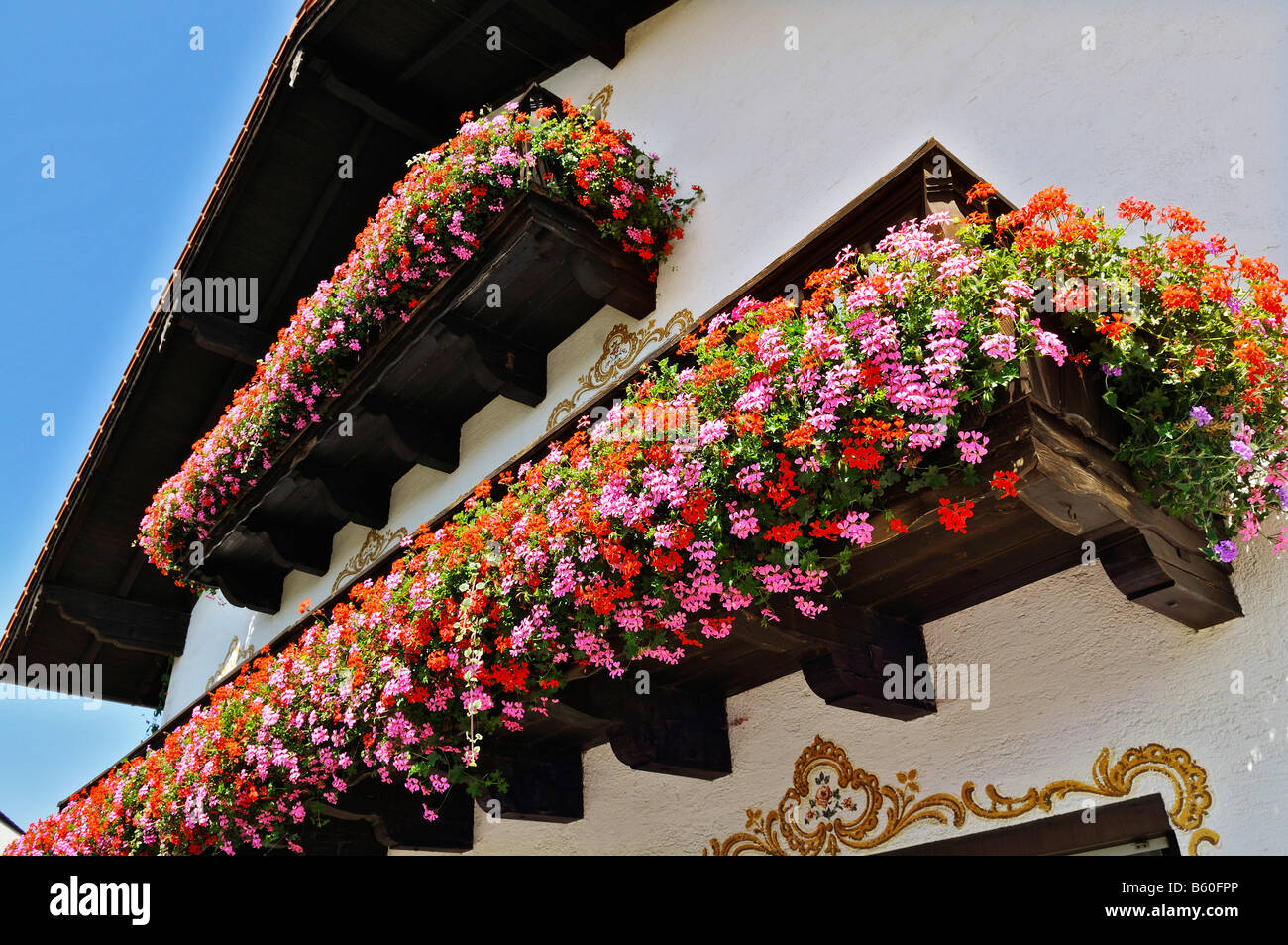 Traditional house with balconies adorned with an abundance of Geraniums (Pelargonium zonale) near Munich, Bavaria Stock Photo